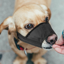 Load image into Gallery viewer, Adjustable Small / Big Dog Barking Mouth Guard Muzzle