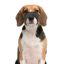 Load image into Gallery viewer, Adjustable Small / Big Dog Barking Mouth Guard Muzzle

