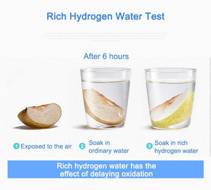Deluxe Alkaline Water Ionizer Machine 2L