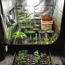 Load image into Gallery viewer, Premium Complete Indoor Grow Tent Kits
